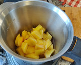Foto del paso 2 de la receta: Gazpacho de melocotón en MyCook Touch