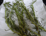 A picture of step 2 of How To Store Rosemary.
