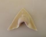 A picture of step 20 of Wanton Wonton Soup.