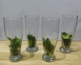 A picture of step 4 of Virgin Mojito (Mocktail).