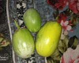 भरीत भाकरी (bharit bhakari recipe in marathi) रेसिपी स्टेप 1 फोटो 
