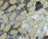 Foto del paso 9 de la receta: Ñoquis de papa