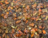 Foto del paso 3 de la receta: Sopa de pescado