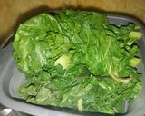 Foto del paso 1 de la receta: Lasaña de Acelgas