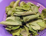 Reteklevél pesto recept fázis 1 fotója