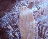 Foto del paso 4 de la receta: Torta de Ricota Alita