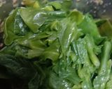 પાલક પનીર (Palak Paneer Recipe In Gujarati) રેસીપી સ્ટેપ1ફોટો