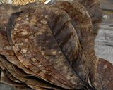 A picture of step 2 of Magnolia Leaf Miso.