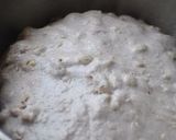 A picture of step 7 of Rustic Walnut Loaf with Homemade Natural Leaven.