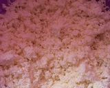 Foto del paso 3 de la receta: Tarta de coco