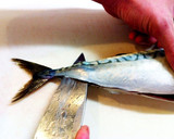 A picture of step 10 of How to Fillet a Whole Fish.