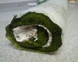 A picture of step 19 of Moist Fluffy Green Tea Chiffon Swiss Roll.