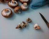 A picture of step 2 of Mo's mushrooms.