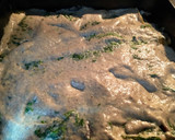 Foto del paso 4 de la receta: Gratén de espinacas y jamón con bechamel de setas #sin gluten