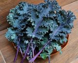 Foto langkah ke 1 dari resep Gulai Daun Kale.