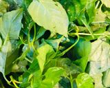 Hình bước làm 1 của món Canh rau ngót Nhật thịt băm