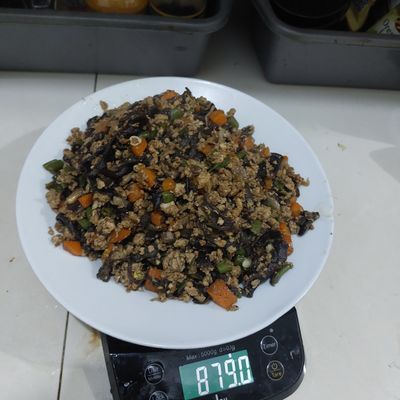Langkah 10