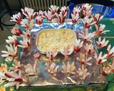 Une image de l'étape 8 de Jardin de fleurs de radis roses tartinade feta citron ciboulette.