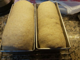 Pan de molde o pan de campo...tu preferido!
