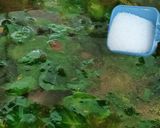 A picture of step 7 of Drumstick leaves Soup.