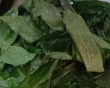 Foto langkah ke 2 dari resep Tumis kerang bunga pepaya.