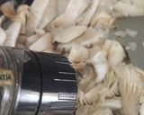 Foto del paso 6 de la receta: 🫘 Alubias carillas con setas 🍄