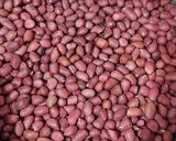 Foto del paso 3 de la receta: Ahuyama con maní