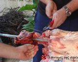 A picture of step 5 of Lamb on the spit.