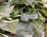 Foto del paso 1 de la receta: Arrollado de Espinaca