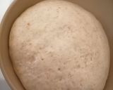 Foto del paso 4 de la receta: Pan rústico natural
