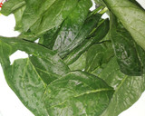 Foto del paso 1 de la receta: Ensalada de espinaca