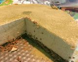 A picture of step 14 of Non-baked Matcha cheesecake (easy).