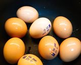 Foto del paso 1 de la receta: Huevo a las brasas