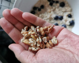 Foto del paso 3 de la receta: Avena con blueberries y nueces (deskfast 1)