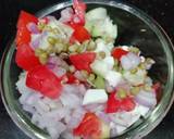 Paneer Sprout Salad recipe step 4 photo