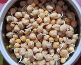 A picture of step 5 of Chickpeas and White peas Sprouts Salad.