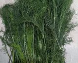 Foto langkah ke 1 dari resep Sayur Bobor Daun Adas, khas Salatiga (Masakan dari sayuran sehat anti kangker dll).