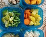 Foto langkah ke 1 dari resep MPASI 6+ Mo 4 bintang Ikan Salmon menggunakan slowcooker.