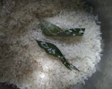 Foto del paso 2 de la receta: Tomaticán sureño