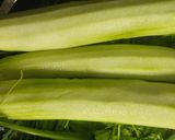 Hình bước làm 1 của món Canh mướp hạt sen