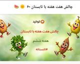 عکس مرحله 1 از دستور ساندویچ مرغ و سیب زمینی