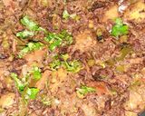 A picture of step 5 of Shahi kofta Biryani 😊.