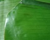 Foto langkah ke 5 dari resep "Botok Tempe teri daun selasih"😘👍.
