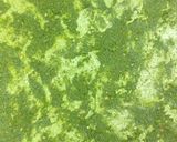 A picture of step 5 of Spinach Cheese Garlic Babak.