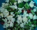 વેજ તુફાની (Veg. Toofani Recipe In Gujarati) રેસીપી સ્ટેપ1ફોટો