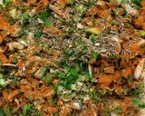 A picture of step 1 of Mooli ka paratha.