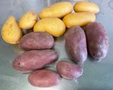 Une image de l'étape 1 de Duo de pommes de terre au lard et bouillon de sanglier.