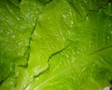 A picture of step 5 of Lots of Veggies! Simple Korean Boiled Pork Bossam.