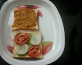 વેજીટેબલ ચીઝ સેન્ડવીચ(Vegetable cheese Sandwich Recipe in Gujarati) રેસીપી સ્ટેપ4ફોટો