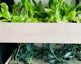 Hình bước làm 1 của món Vào bếp cùng con: salad từ vườn nhà bạn